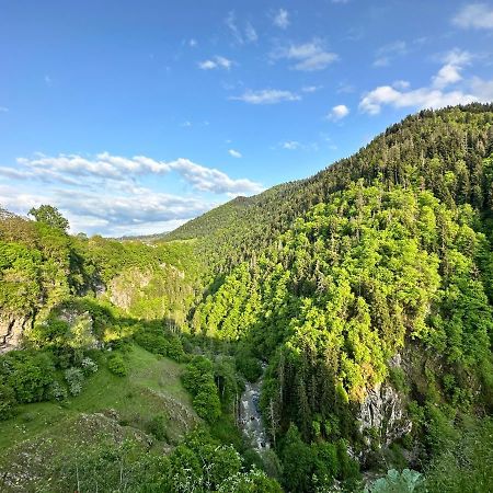 Green Mountain 보르조미 외부 사진