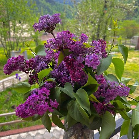 Green Mountain 보르조미 외부 사진