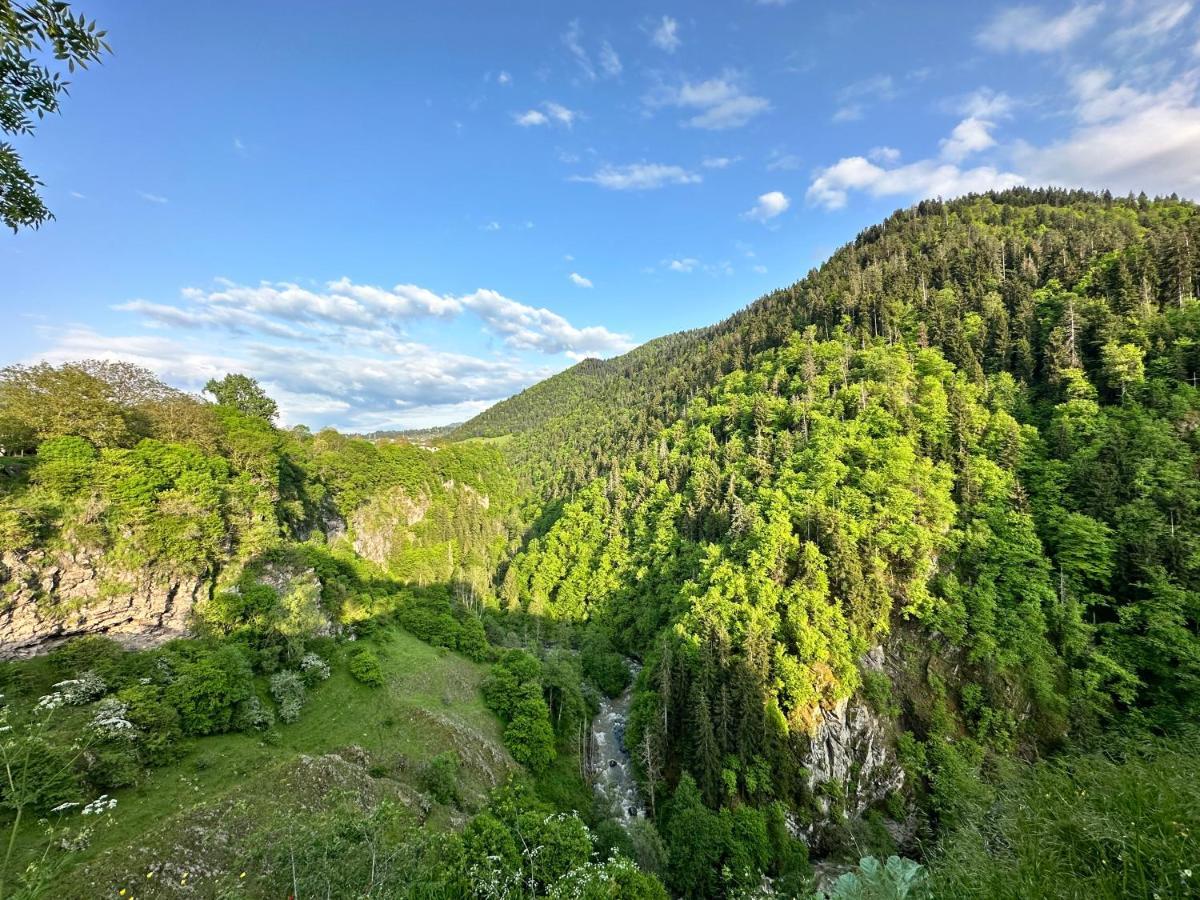 Green Mountain 보르조미 외부 사진
