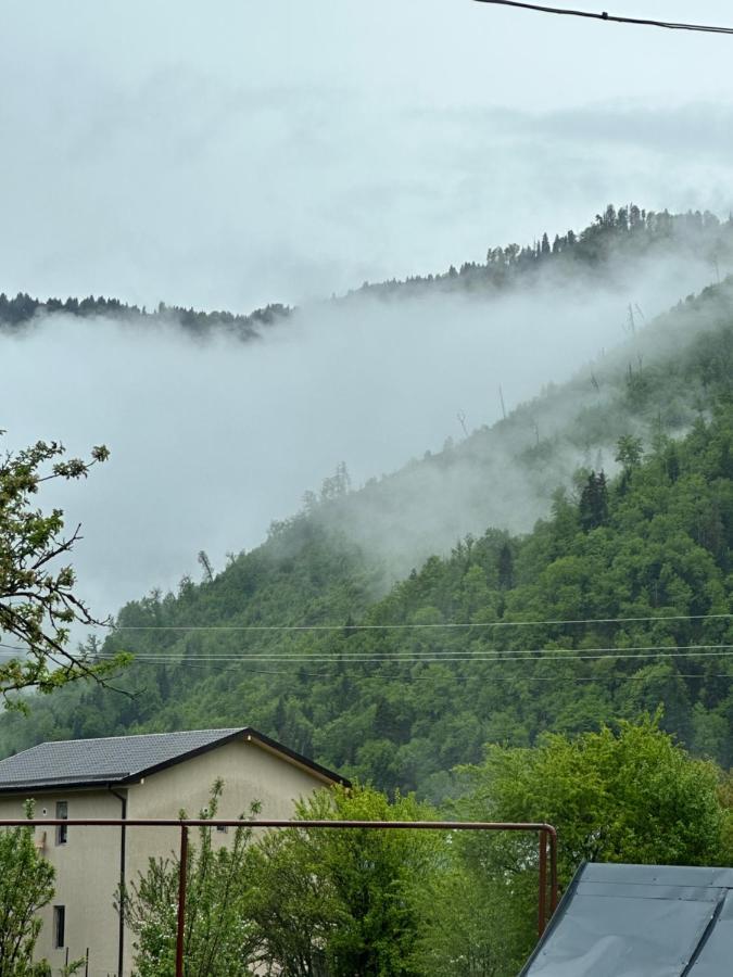 Green Mountain 보르조미 외부 사진