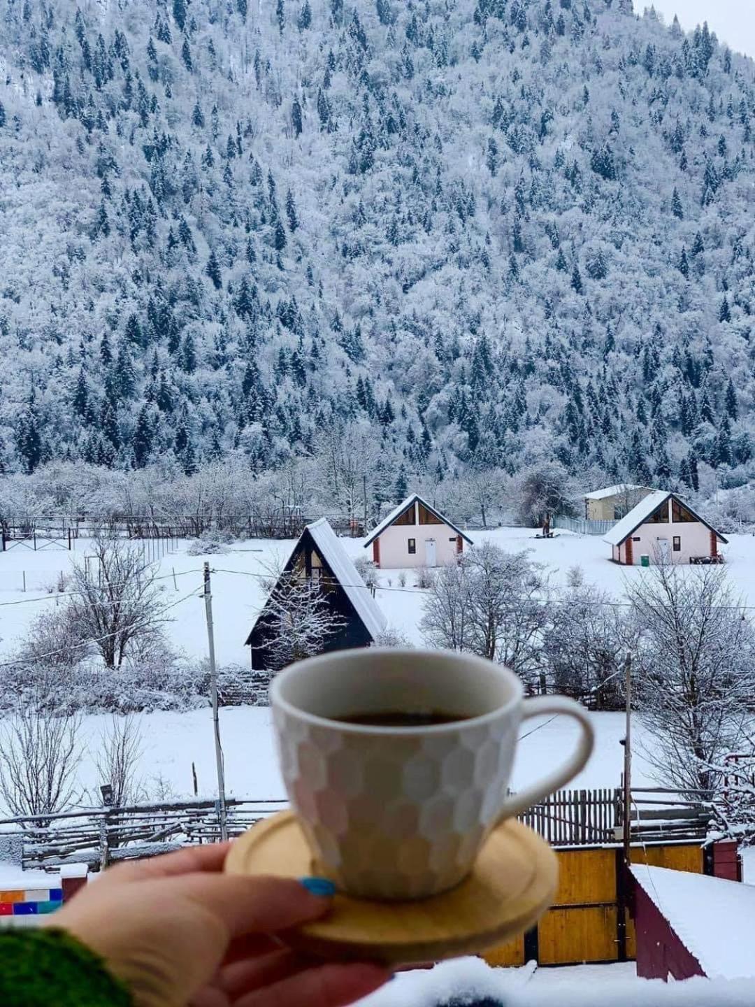 Green Mountain 보르조미 외부 사진
