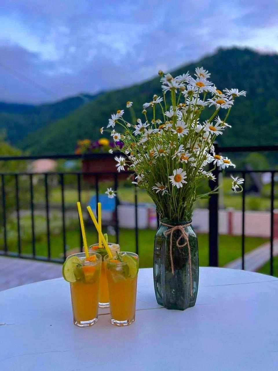 Green Mountain 보르조미 외부 사진