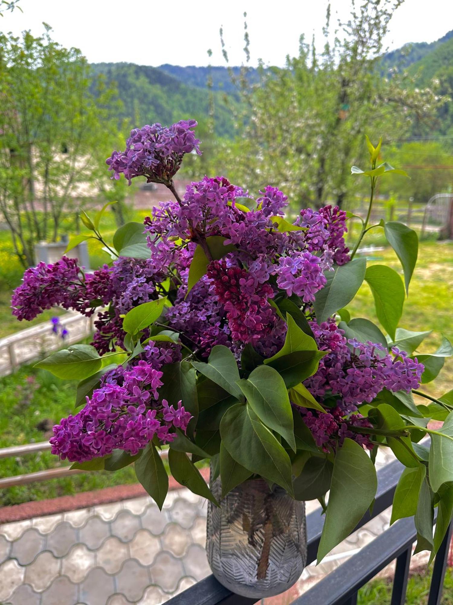 Green Mountain 보르조미 외부 사진